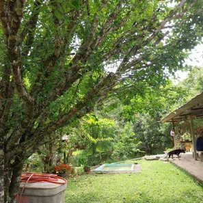 Fazenda / Sítio / Chácara com 3 Quartos à venda, 10000m² no , Redenção da Serra
