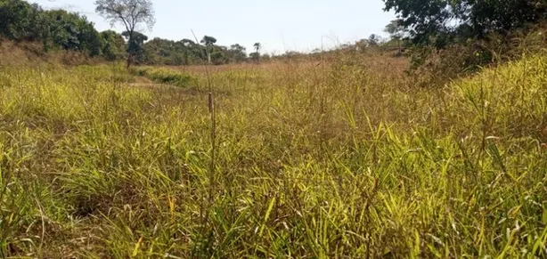 Fazenda / Sítio / Chácara com 5 Quartos à venda, 1600000m² no Área Rural de Novo Gama, Novo Gama
