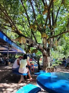 Fazenda / Sítio / Chácara à venda, 35185m² no Jardim Imperador, Araraquara