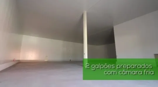 Galpão / Depósito / Armazém para alugar, 17030m² no Loteamento Capotuna, Jaguariúna