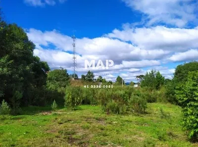 Terreno / Lote Comercial para alugar, 4380m² no Borda do Campo, Quatro Barras