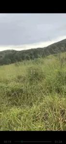 Fazenda / Sítio / Chácara à venda, 155000000m² no Centro, Formosa
