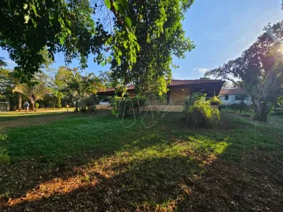 Fazenda / Sítio / Chácara à venda, 2000m² no Machados, Araraquara