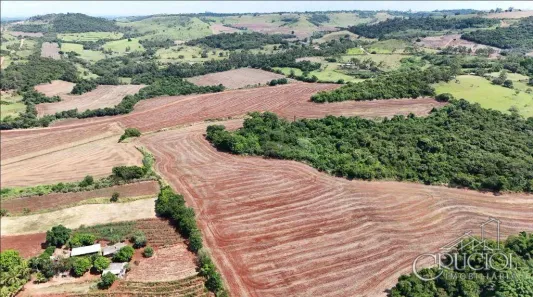 Fazenda / Sítio / Chácara à venda, 500698m² no Pinheiro, Ibiporã
