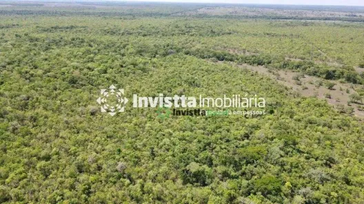 Fazenda / Sítio / Chácara à venda, 530m² no Centro, Pium
