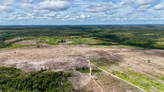 Fazenda / Sítio / Chácara à venda, 1m² no , Rio Sono