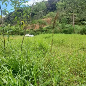 Fazenda / Sítio / Chácara à venda, 3662m² no Vargem Grande, Águas Mornas