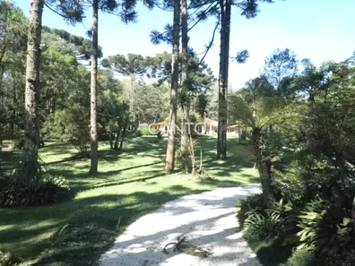 Fazenda / Sítio / Chácara com 3 Quartos à venda, 110m² no Mato Dentro, Almirante Tamandaré