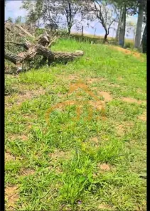 Terreno / Lote / Condomínio à venda, 1000m² no Aparecida, Araçoiaba da Serra