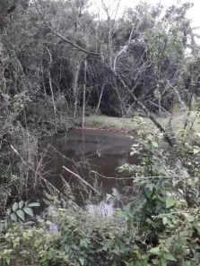 Fazenda / Sítio / Chácara à venda, 106747m² no Arroio do Só, Santa Maria