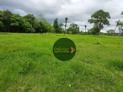 Fazenda / Sítio / Chácara com 3 Quartos à venda, 25748800m² no Parque Residencial Nova Fronteira, Gurupi