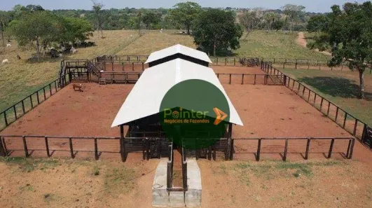 Fazenda / Sítio / Chácara à venda, 5320000m² no Área Rural de Gurupi, Gurupi