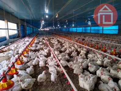 Galpão / Depósito / Armazém à venda, 20000m² no , Morro Agudo
