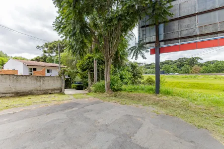 Fazenda / Sítio / Chácara com 4 Quartos à venda, 142m² no Santo Antônio, São José dos Pinhais