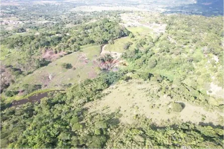 Fazenda / Sítio / Chácara com 2 Quartos à venda, 12000m² no Murici, Caruaru