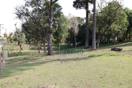 Terreno / Lote / Condomínio para venda ou aluguel, 2100m² no Colônia Rio Grande, São José dos Pinhais