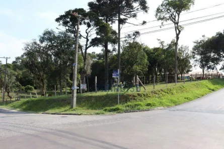 Terreno / Lote / Condomínio para venda ou aluguel, 2100m² no Colônia Rio Grande, São José dos Pinhais