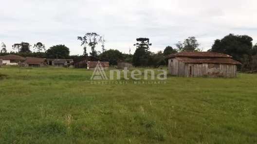 Terreno / Lote / Condomínio para alugar, 2000m² no Quississana, São José dos Pinhais