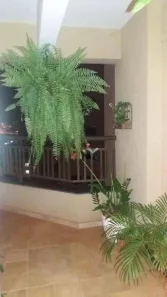 Cobertura com 4 Quartos para alugar, 220m² no Jardim Botânico, Ribeirão Preto