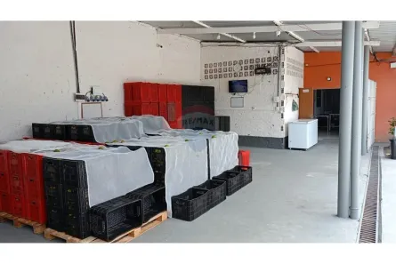 Prédio Inteiro com 3 Quartos à venda, 900m² no , Ipojuca