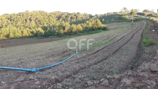 Fazenda / Sítio / Chácara com 1 Quarto à venda, 250m² no Ibiúna, Ibiúna