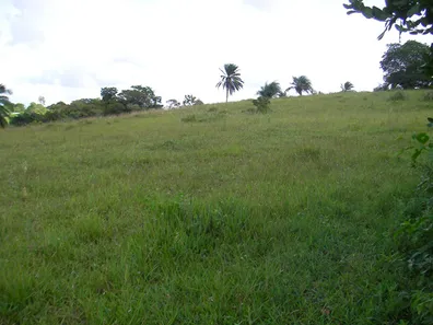 Terreno / Lote / Condomínio à venda, 291666m² no , Simões Filho