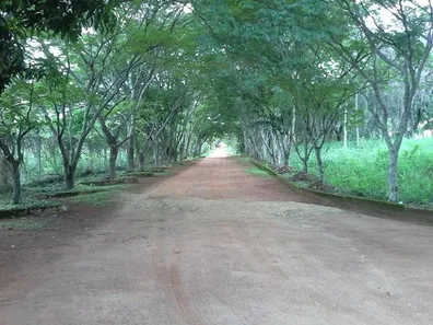 Terreno / Lote / Condomínio à venda, 1061m² no Balneário Quintas do Lago, Cláudio