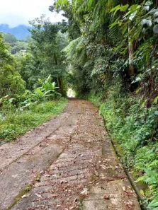 Casa com 2 Quartos à venda, 215m² no São Pedro da Serra, Nova Friburgo