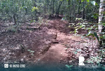 Fazenda / Sítio / Chácara à venda, 571m² no , Lagoa da Confusão