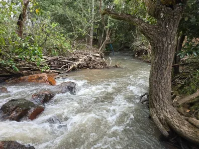Fazenda / Sítio / Chácara à venda, 37000m² no Brazlândia, Brasília