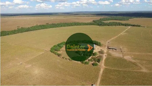 Fazenda / Sítio / Chácara à venda, 173707600m² no Presidente Kennedy, Presidente Kennedy