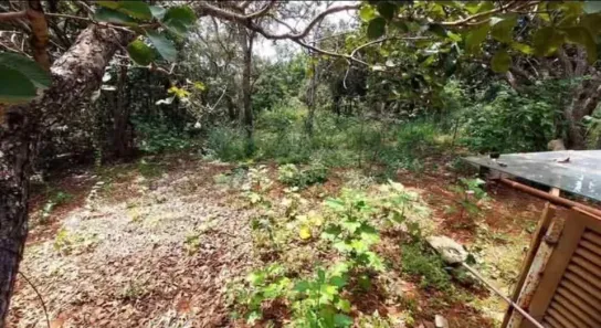 Fazenda / Sítio / Chácara à venda, 4500m² no , Brasília