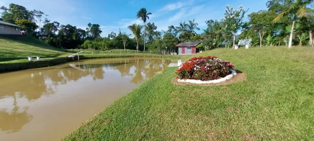 Fazenda / Sítio / Chácara com 3 Quartos à venda, 18000m² no , Antonina