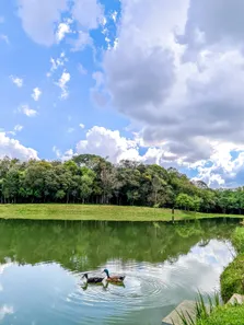 Fazenda / Sítio / Chácara com 3 Quartos à venda, 11000m² no Guajuvira, Araucária
