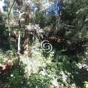 Fazenda / Sítio / Chácara com 2 Quartos à venda, 3000m² no São Salvador, Cascavel