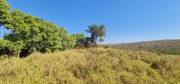 Fazenda / Sítio / Chácara à venda, 103000m² no Cidade Eclética, Santo Antônio do Descoberto