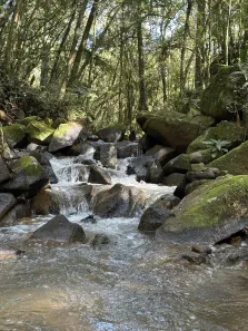 Fazenda / Sítio / Chácara com 5 Quartos à venda, 27500m² no Zona Rural, Campo Magro