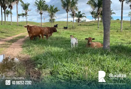 Fazenda / Sítio / Chácara à venda, 1403m² no , Arapoema