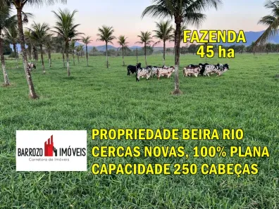 Fazenda / Sítio / Chácara com 3 Quartos à venda, 450000m² no Papucaia, Cachoeiras de Macacu