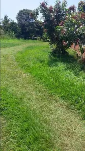 Fazenda / Sítio / Chácara com 4 Quartos para venda ou aluguel, 200m² no Chácaras Arco-Íris, Araçatuba