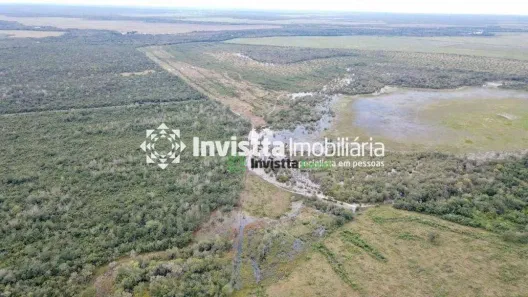 Fazenda / Sítio / Chácara à venda, 440m² no Centro, Lagoa da Confusão
