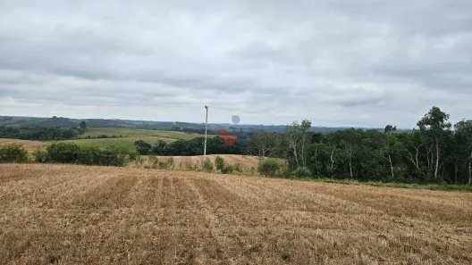 Fazenda / Sítio / Chácara à venda, 17000m² no Área Rural de Araucária, Araucária