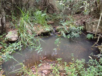 Terreno / Lote Comercial à venda, 20000m² no Zona Rural, Fortuna de Minas