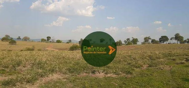 Fazenda / Sítio / Chácara à venda, 10599600m² no Vila Oeste, Paraíso do Tocantins