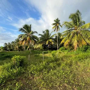 Terreno / Lote Comercial à venda, 15000m² no Centro, Barra dos Coqueiros