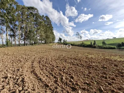 Fazenda / Sítio / Chácara à venda, 21917m² no , Contenda