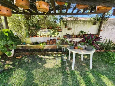 Fazenda / Sítio / Chácara com 4 Quartos à venda, 200m² no , Ipeúna