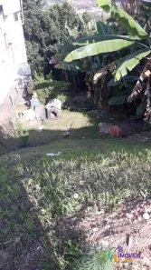 Terreno / Lote / Condomínio à venda, 260m² no Jardim Quinta dos Teixeiras, São Roque