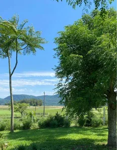 Fazenda / Sítio / Chácara com 2 Quartos à venda, 137m² no Palma, Santa Maria