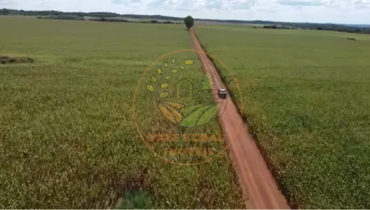 Fazenda / Sítio / Chácara com 4 Quartos à venda, 672m² no Centro, Paraíso do Tocantins
